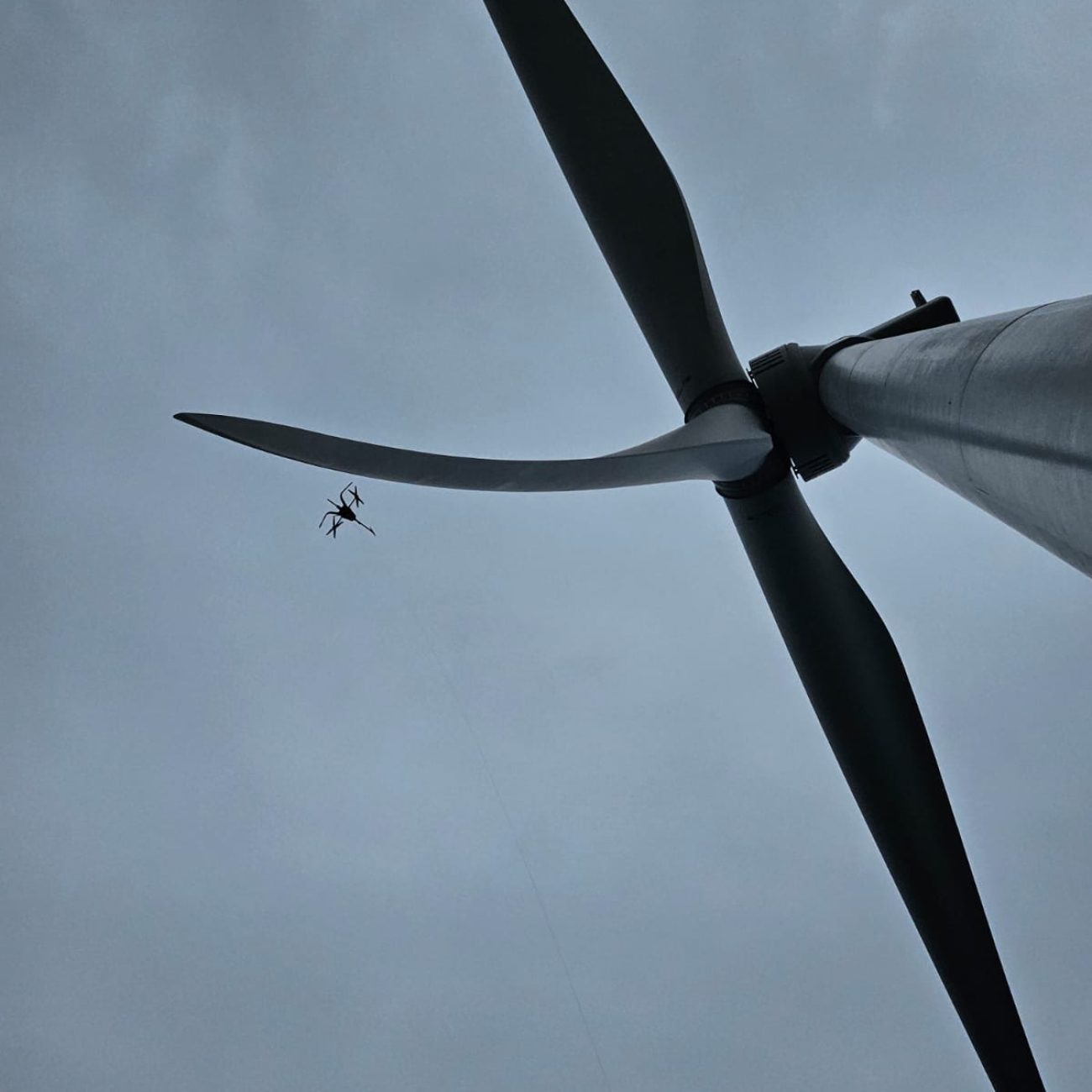 WhatsApp Image 2025-07-21 at 14.28.48